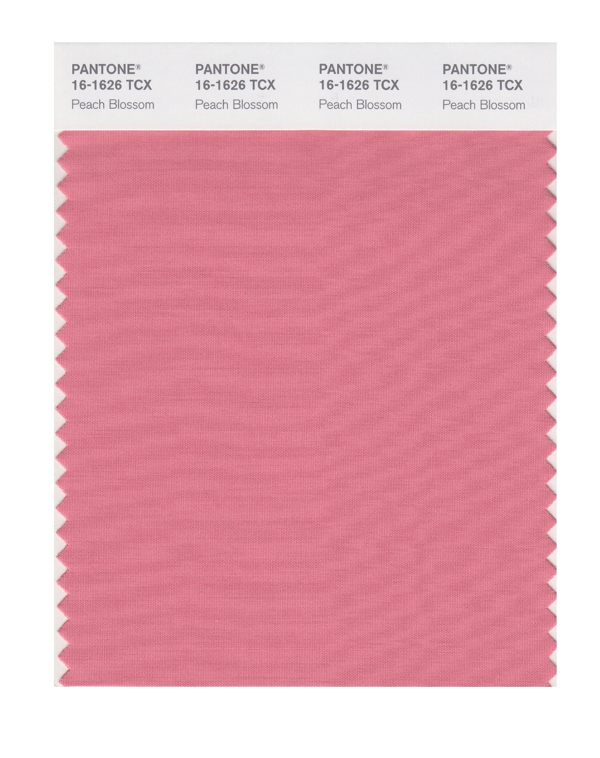 Pantone Cotton Swatch 16-1626 Peach Blossom