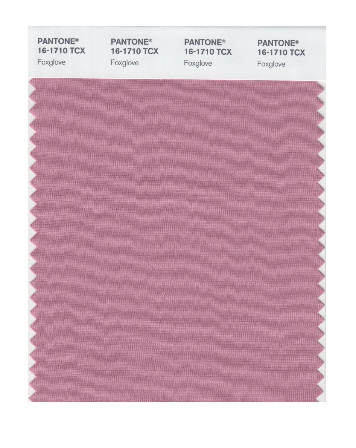 Pantone Cotton Swatch 16-1710 Foxglove