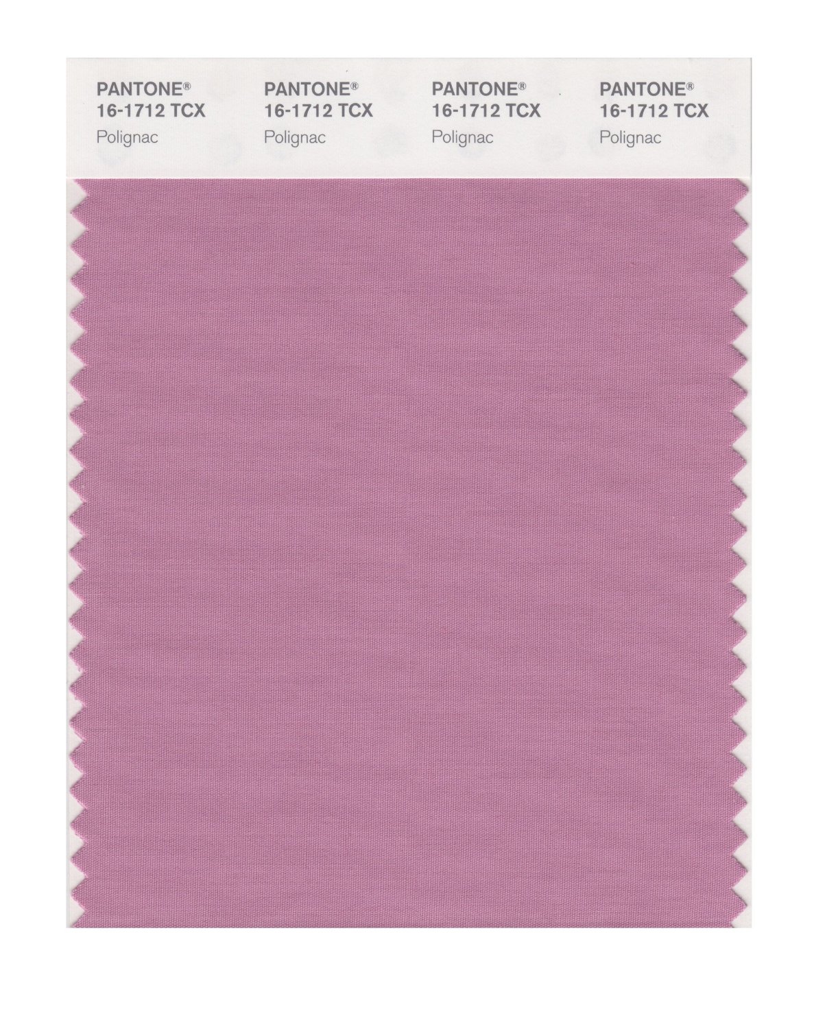 Pantone Cotton Swatch 16-1712 Polignac