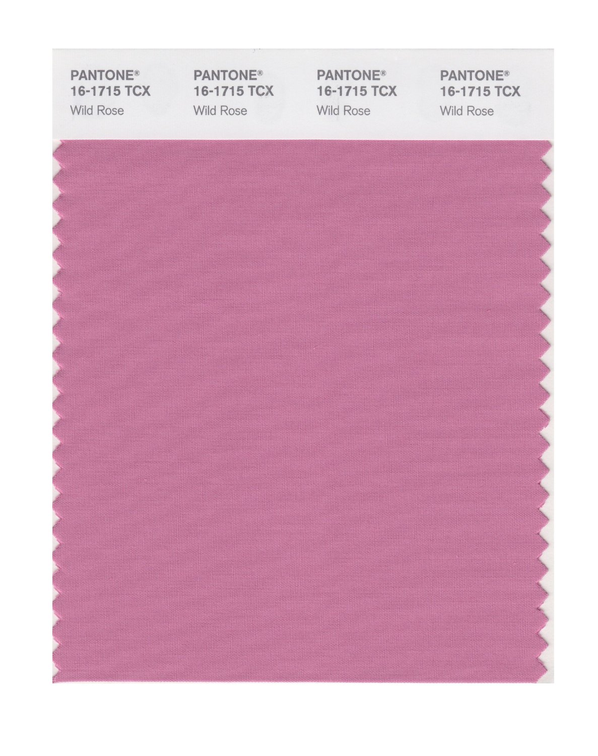 Pantone Cotton Swatch 16-1715 Wild Rose