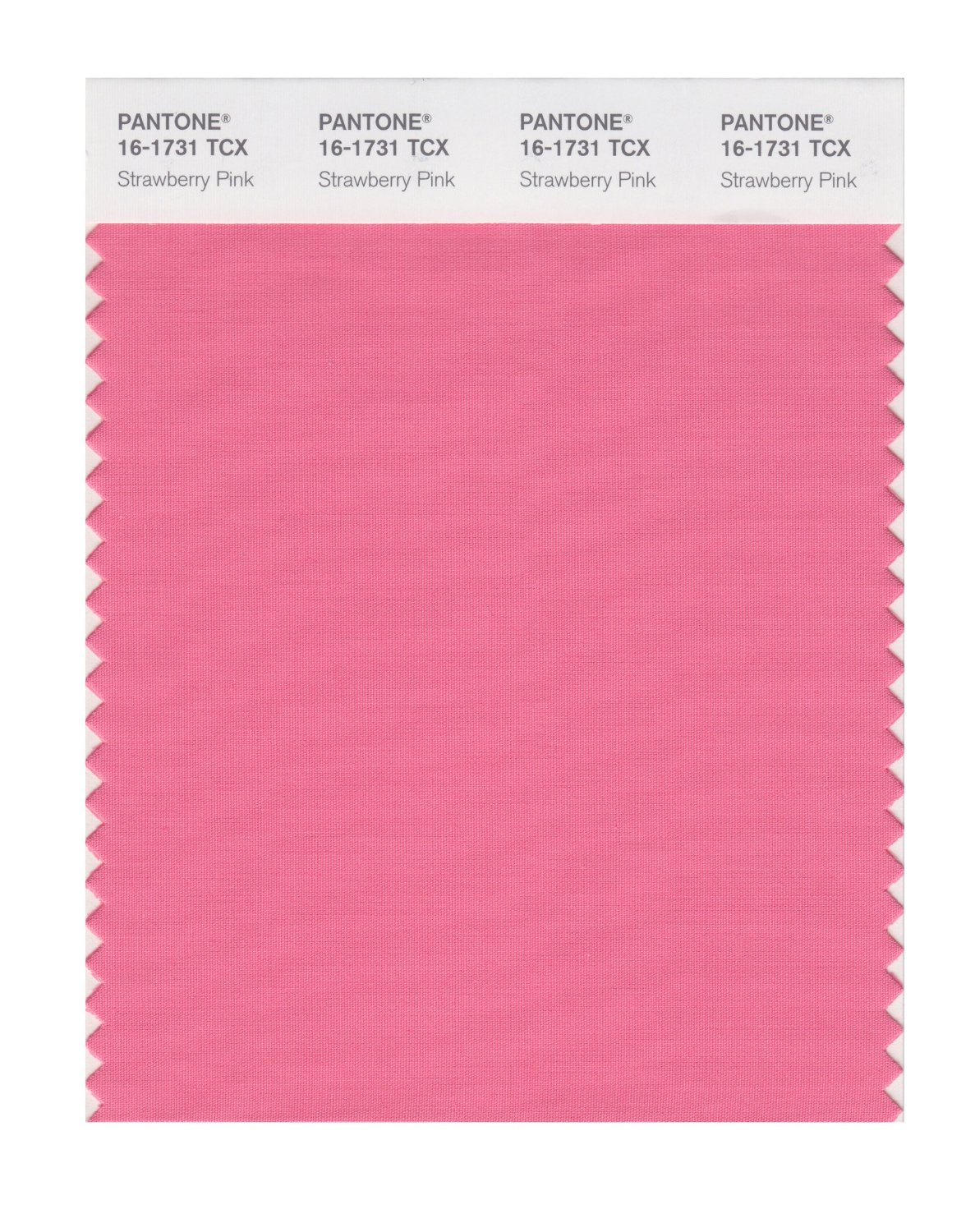 Pantone Cotton Swatch 16-1731 Strawberry Pink