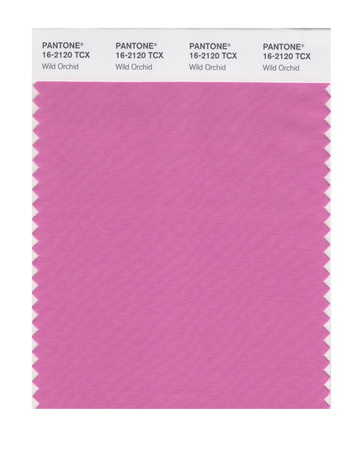 Pantone Cotton Swatch 16-2120 Wild Orchid