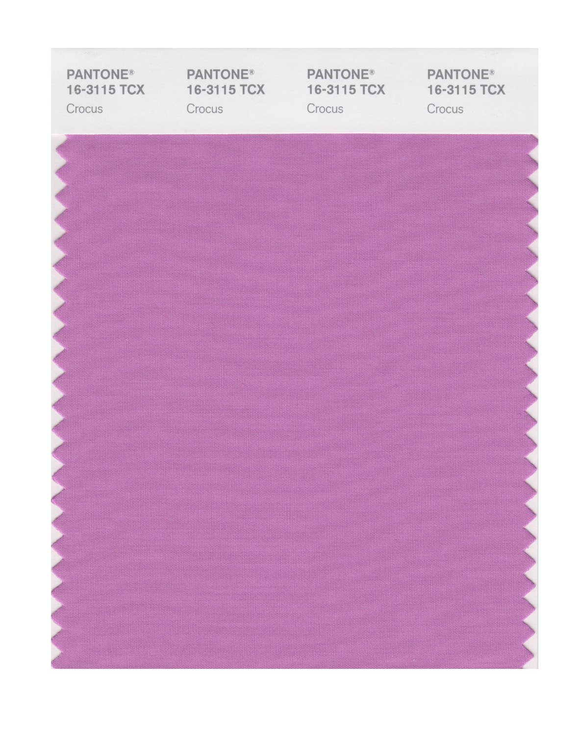 Pantone Cotton Swatch 16-3115 Crocus