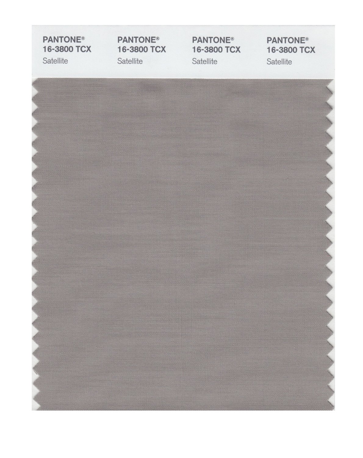 Pantone Cotton Swatch 16-3800 Satellite