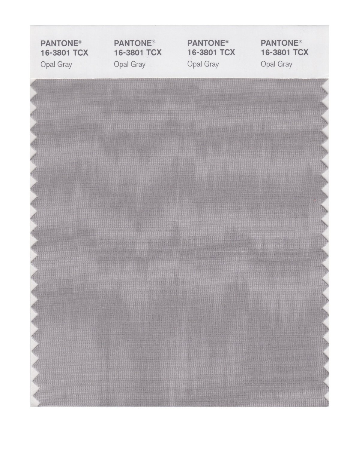 Pantone Cotton Swatch 16-3801 Opal Gray