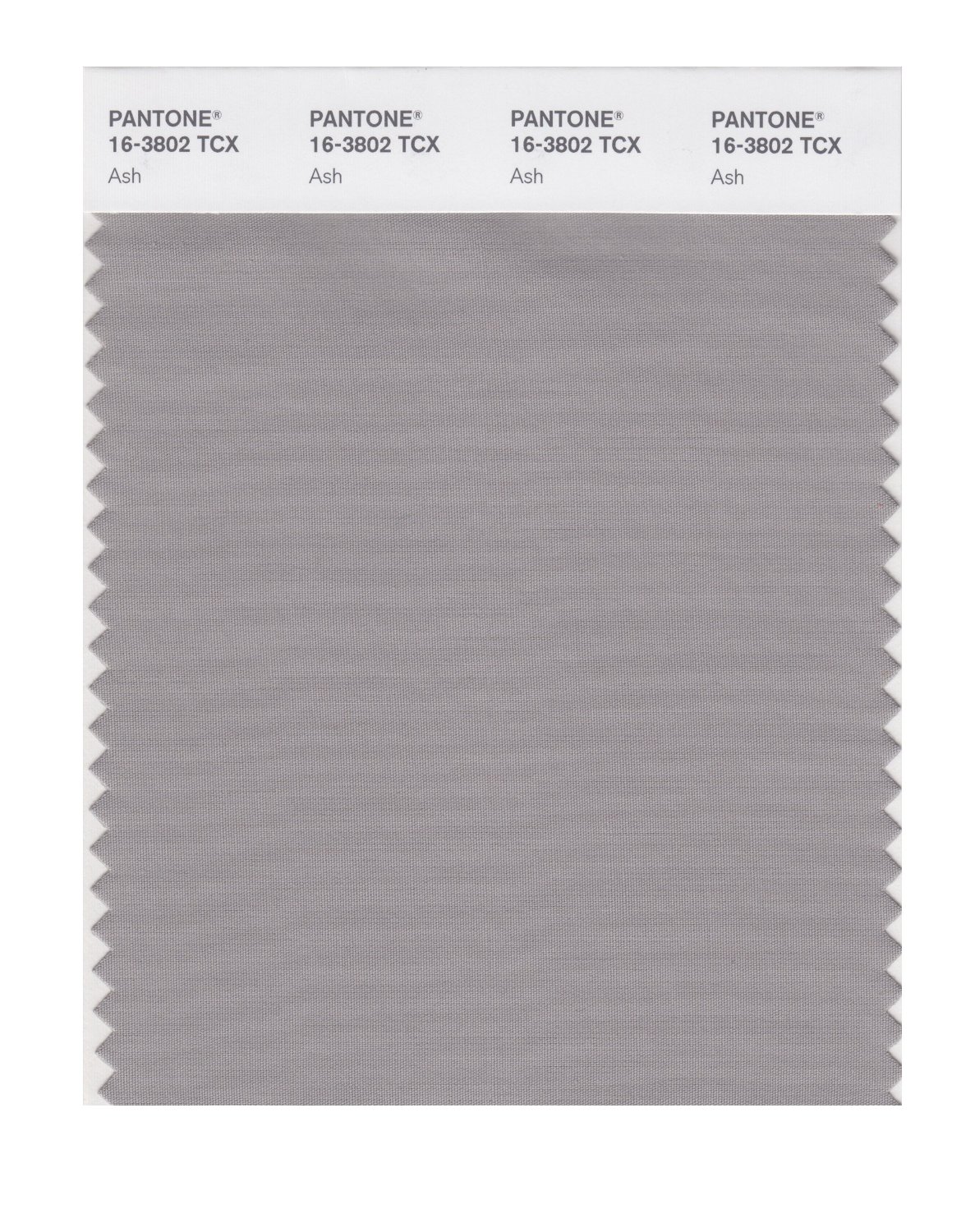 Pantone Cotton Swatch 16-3802 Ash