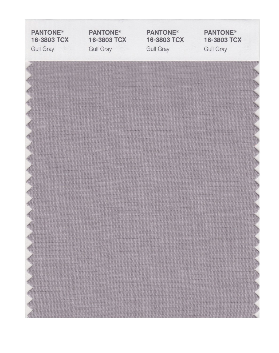 Pantone Cotton Swatch 16-3803 Gull Gray