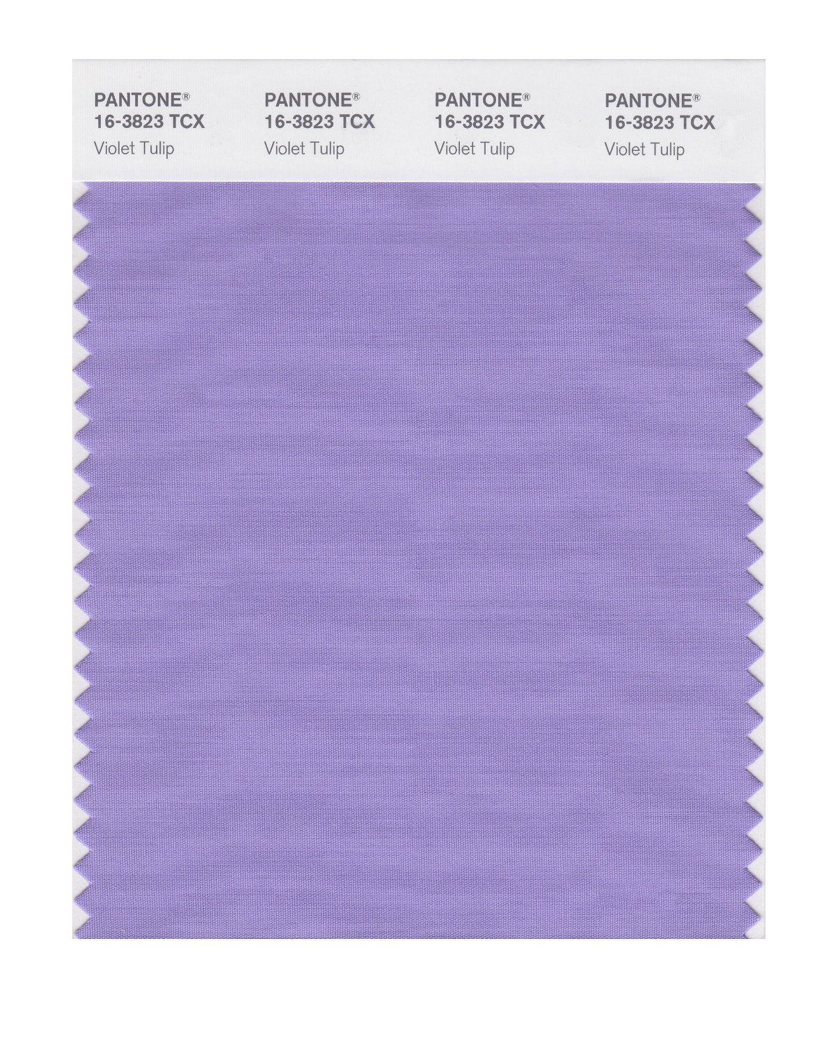 Pantone Cotton Swatch 16-3823 Violet Tulip