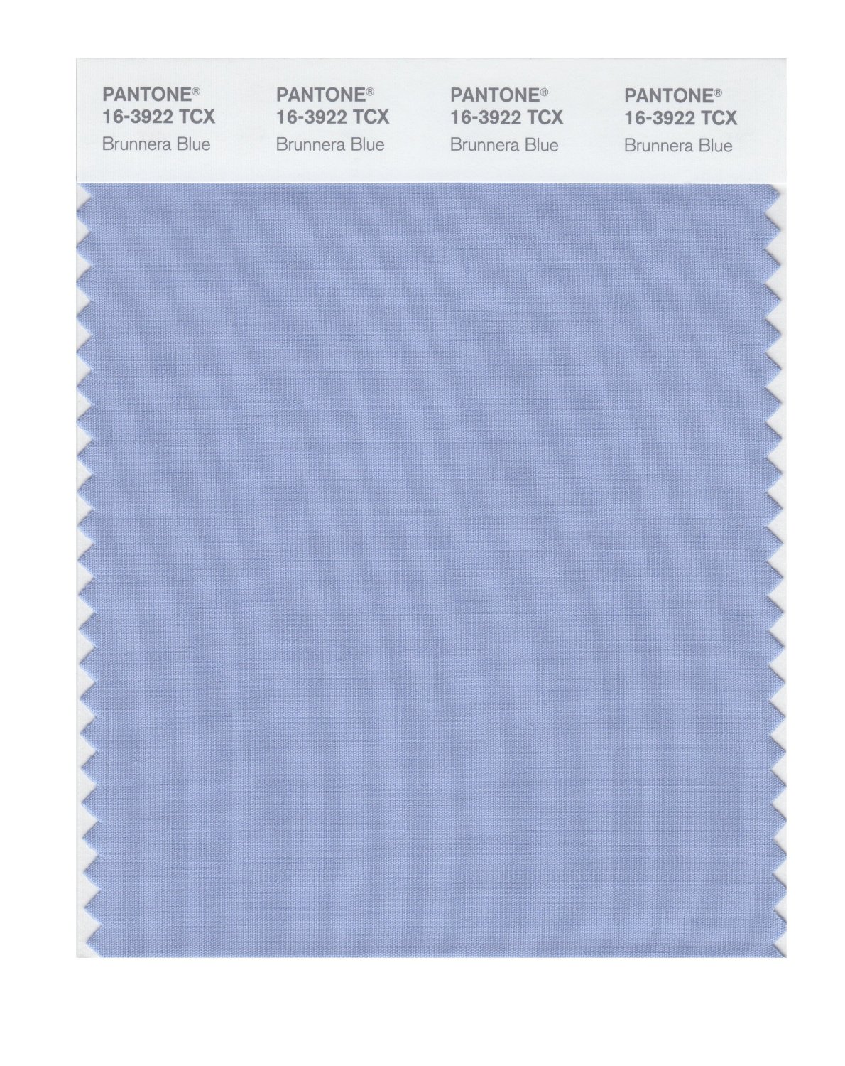 Pantone Cotton Swatch 16-3922 Brunnera Blue