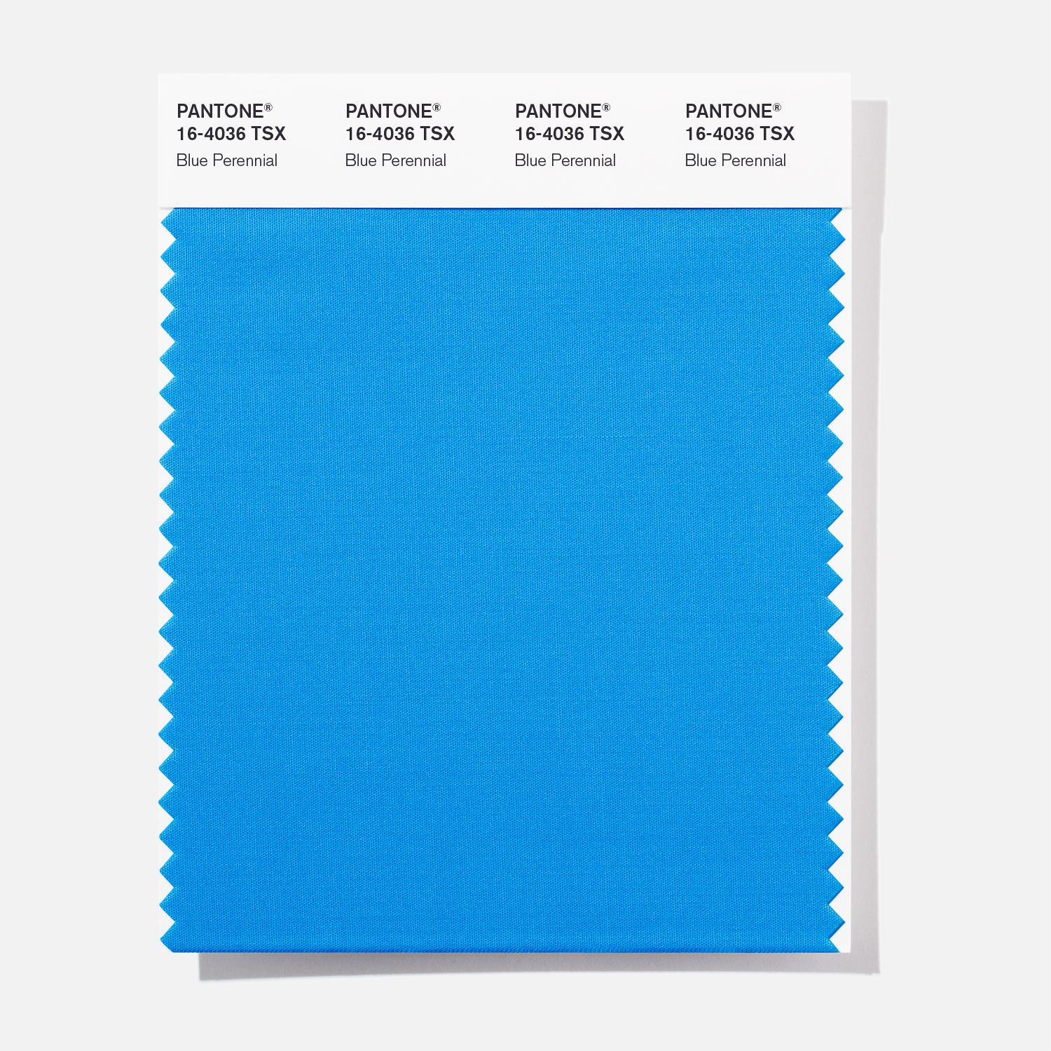 Pantone Polyester Swatch 16-4036 Blue Perenni