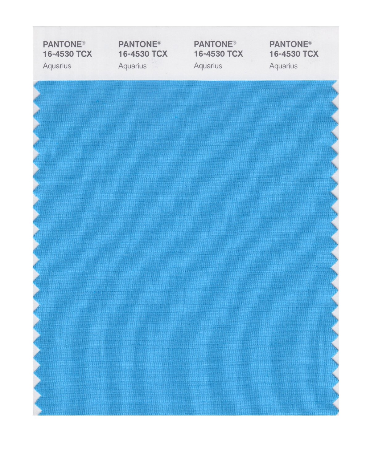 Pantone Cotton Swatch 16-4530 Aquarius