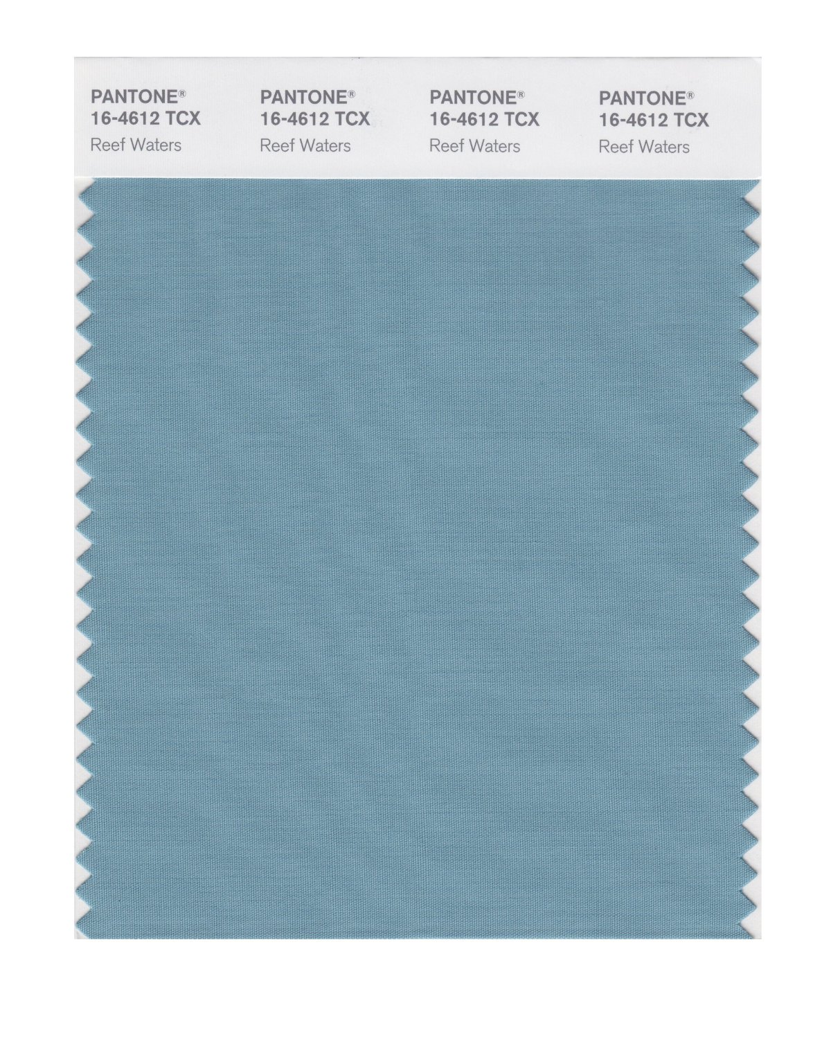 Pantone Cotton Swatch 16-4612 Reef Waters