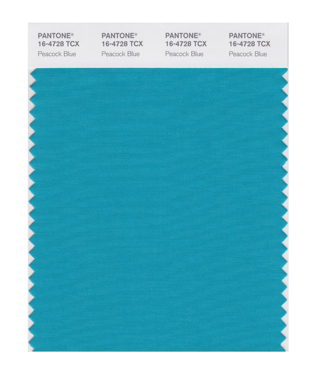 Pantone Cotton Swatch 16-4728 Peacock Blue