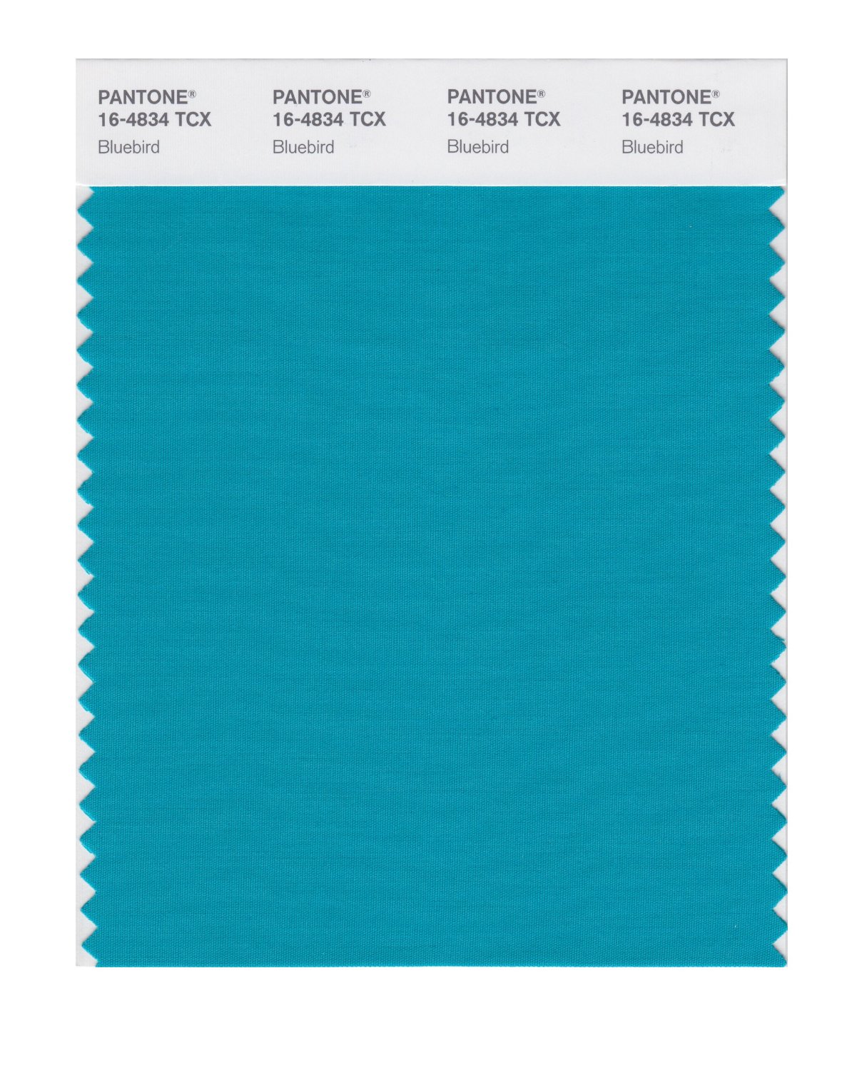 Pantone Cotton Swatch 16-4834 Bluebird