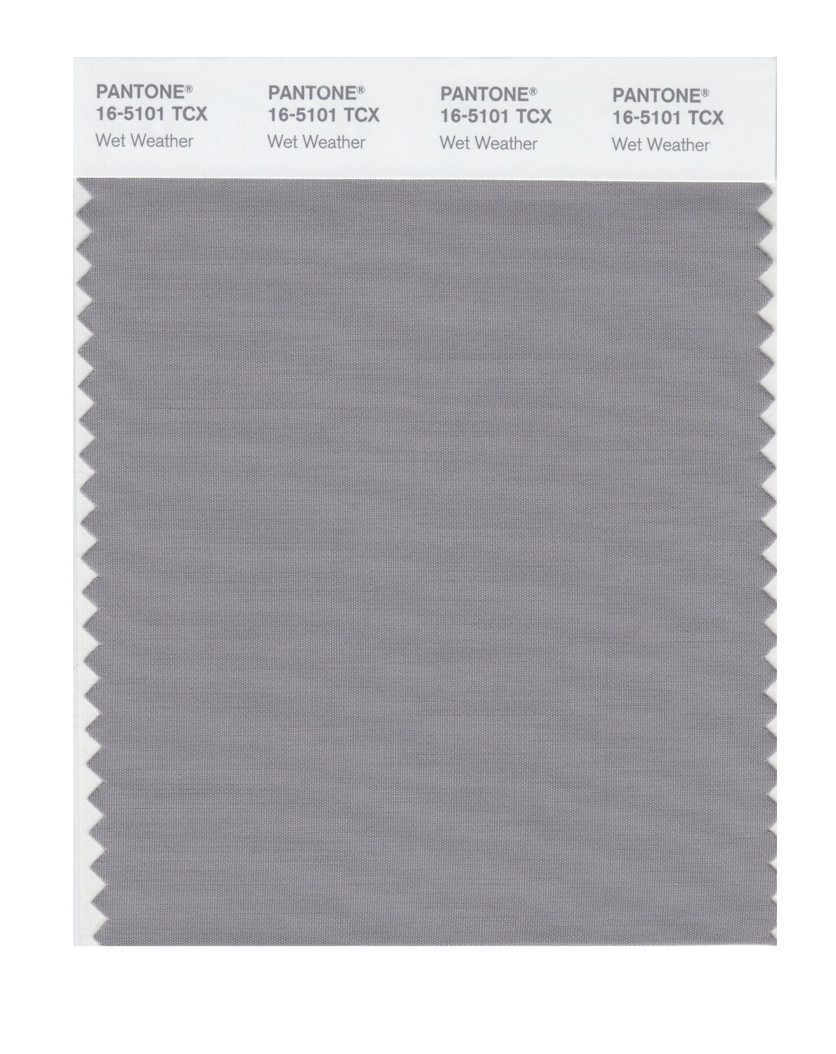 Pantone Cotton Swatch 16-5101 Wet Weather