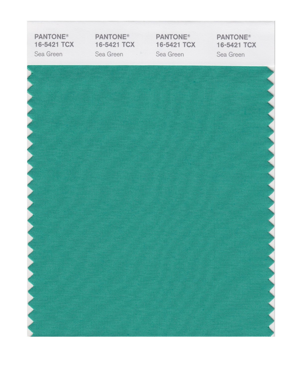 Pantone Cotton Swatch 16-5421 Sea Green