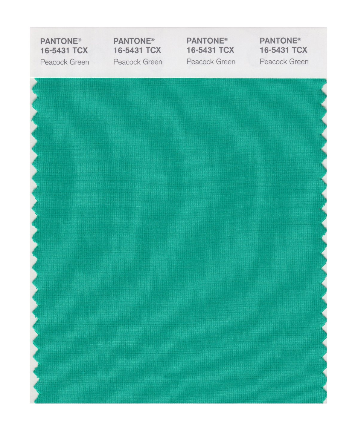 Pantone Cotton Swatch 16-5431 Peacock Green