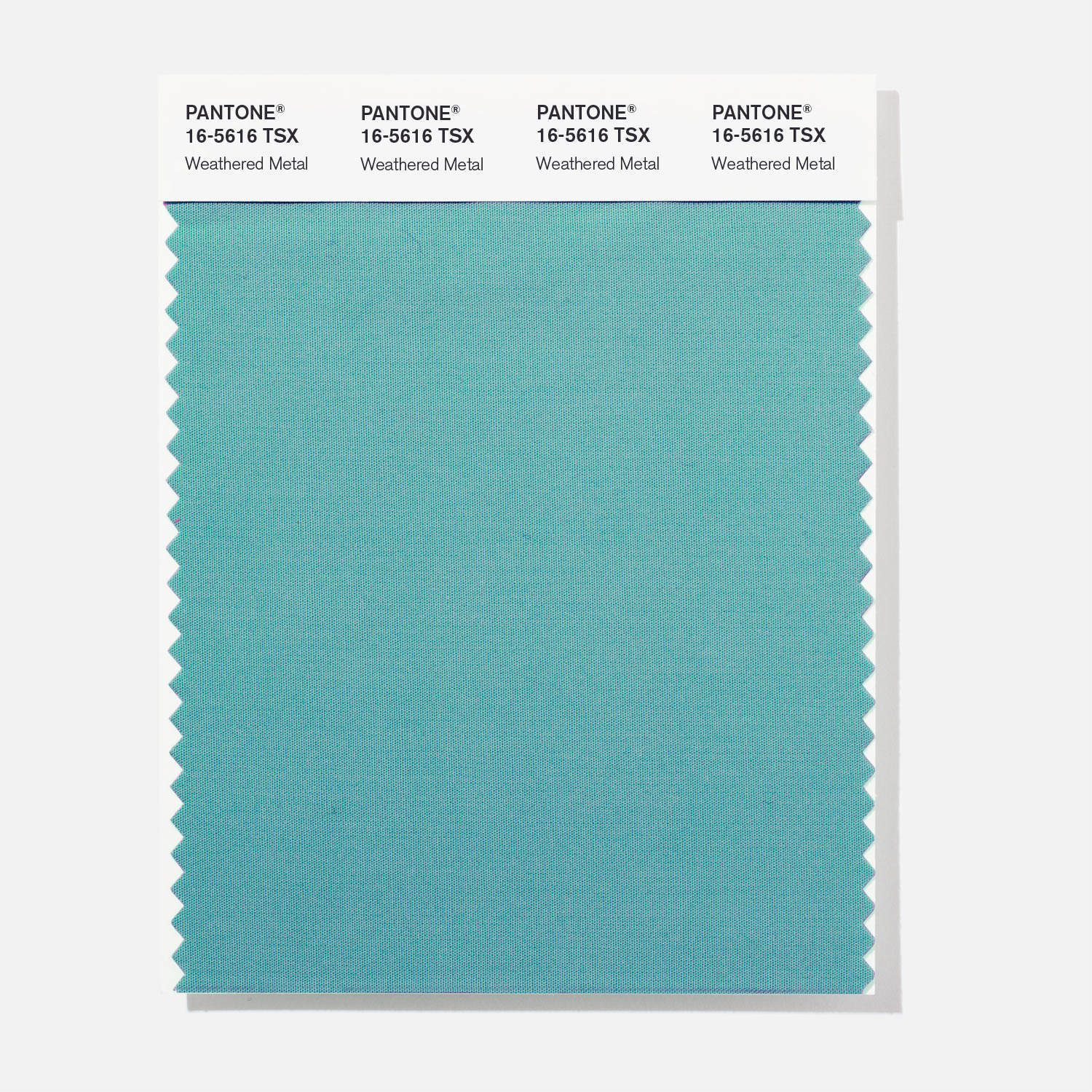 Pantone Polyester Swatch 16-5616 Weathered Me