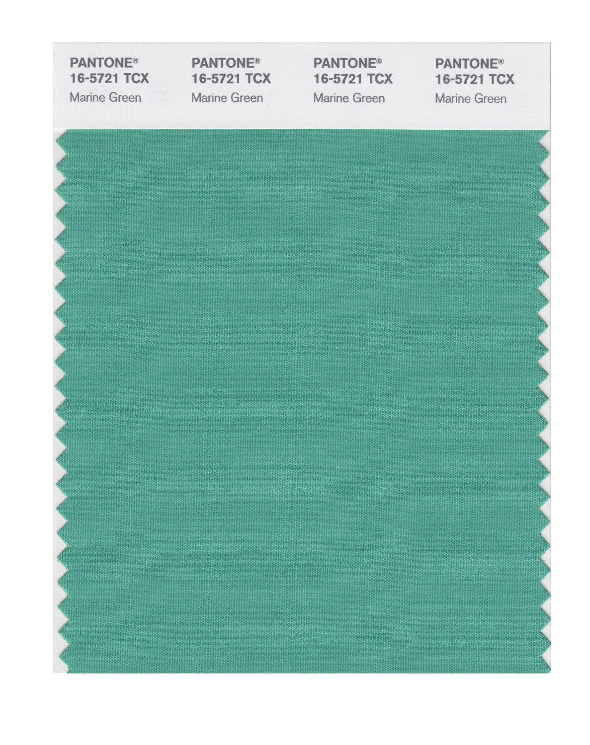 Pantone Cotton Swatch 16-5721 Marine Green