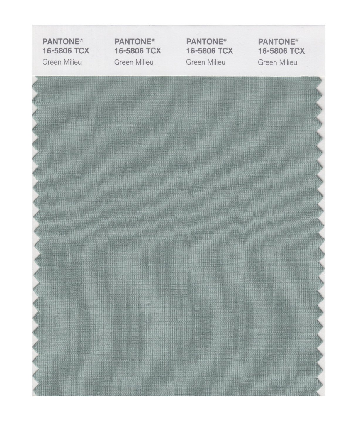 Pantone Cotton Swatch 16-5806 Green Milieu