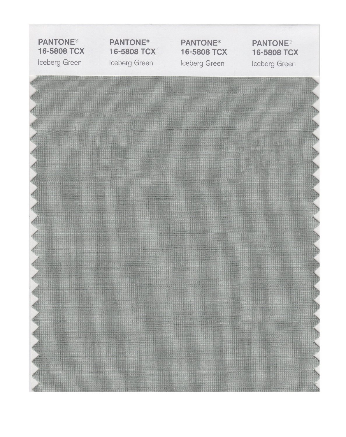 Pantone Cotton Swatch 16-5808 Iceberg Green