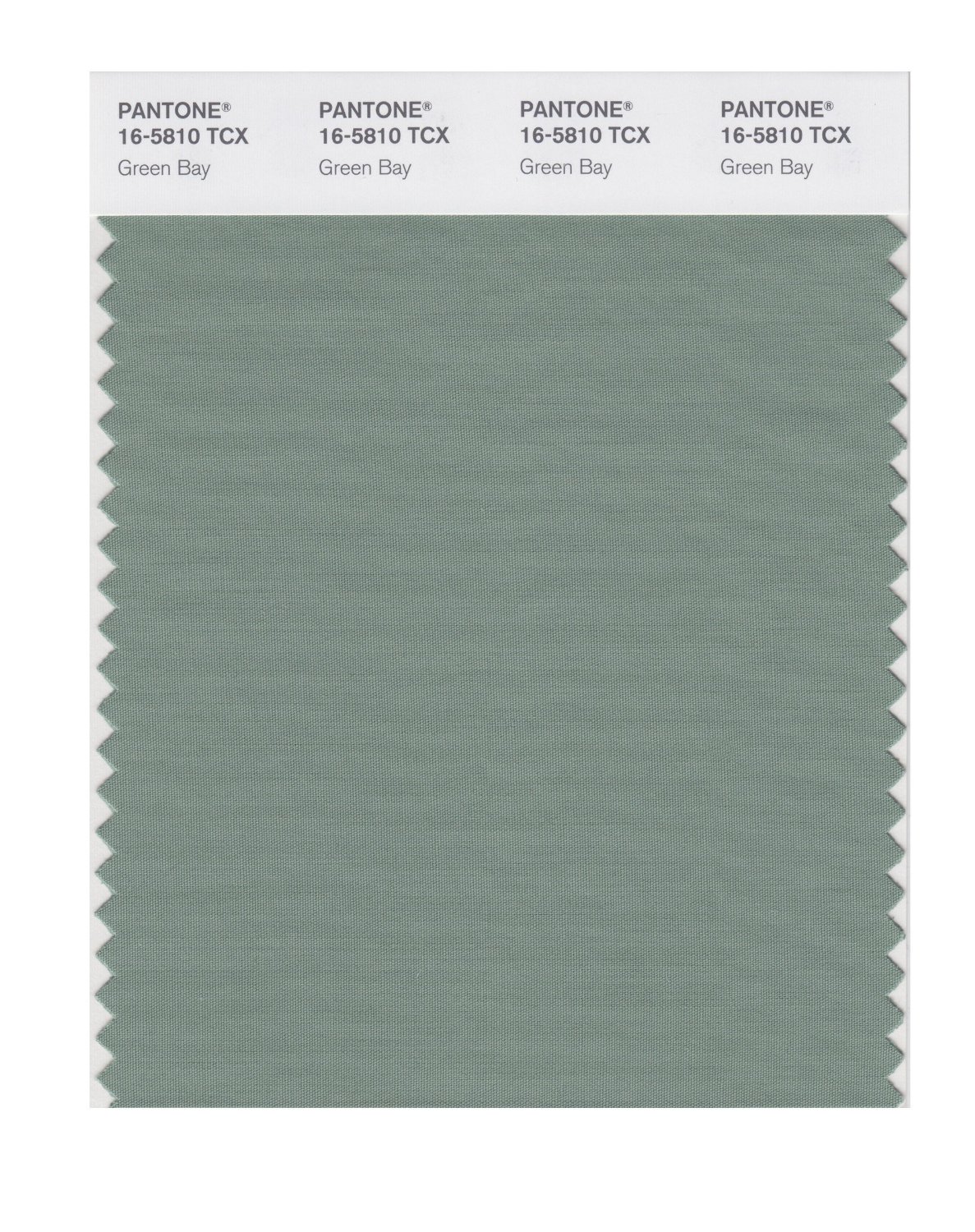 Pantone Cotton Swatch 16-5810 Green Bay