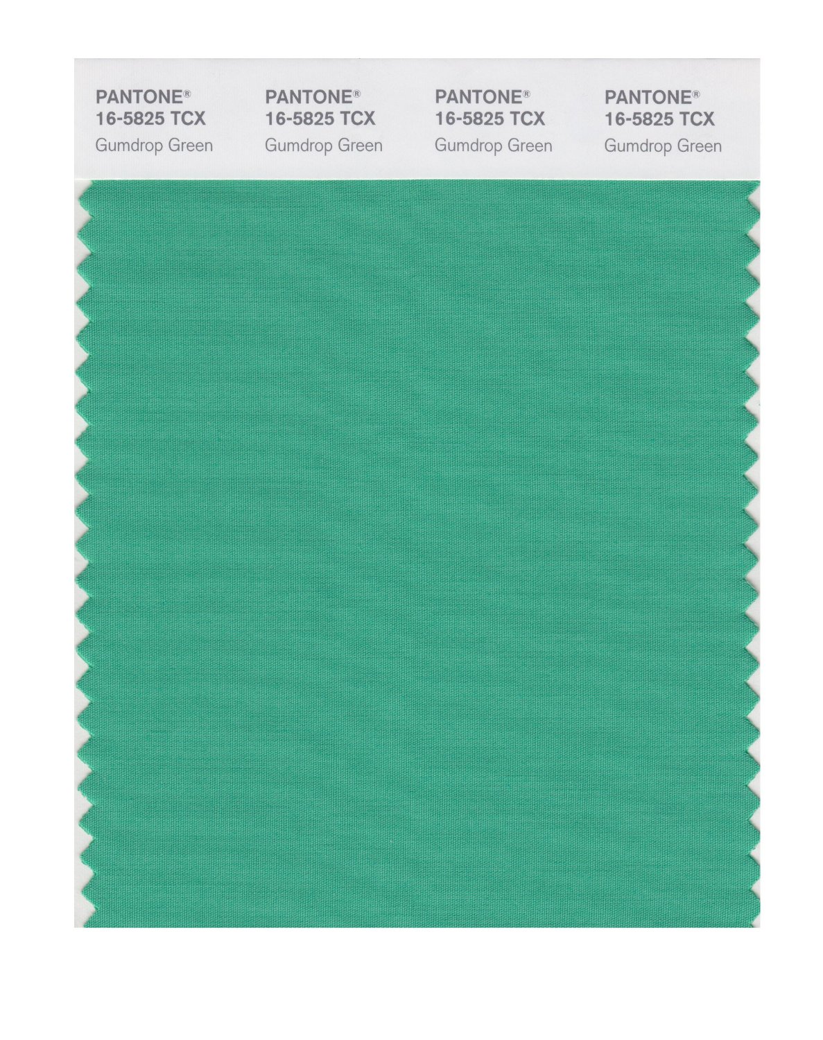 Pantone Cotton Swatch 16-5825 Gumdrop Green