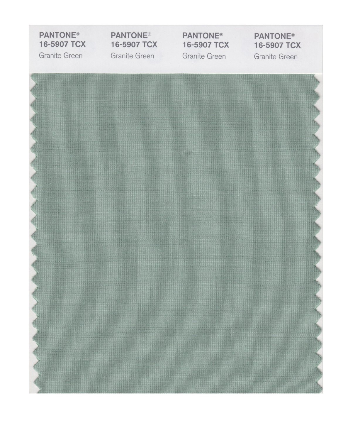 Pantone Cotton Swatch 16-5907 Granite Green