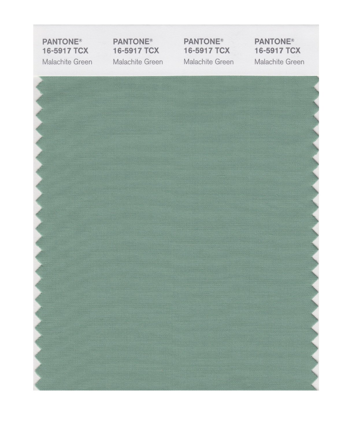 Pantone Cotton Swatch 16-5917 Malachite Green