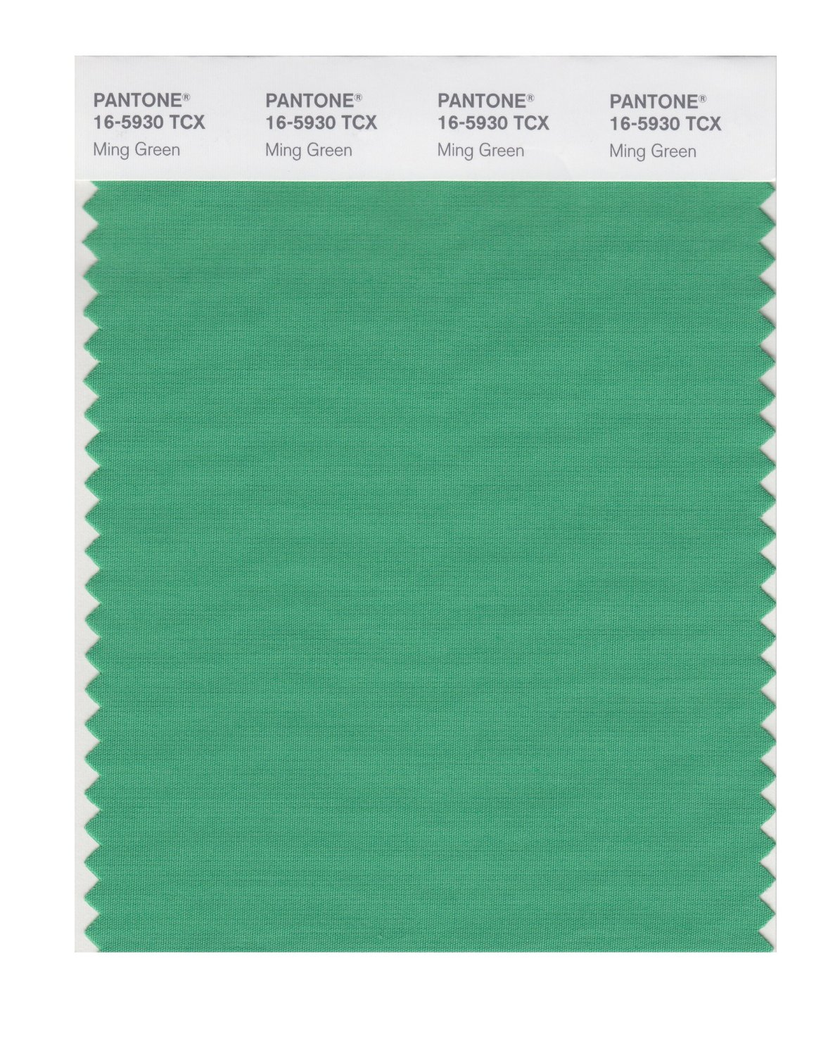 Pantone Cotton Swatch 16-5930 Ming Green