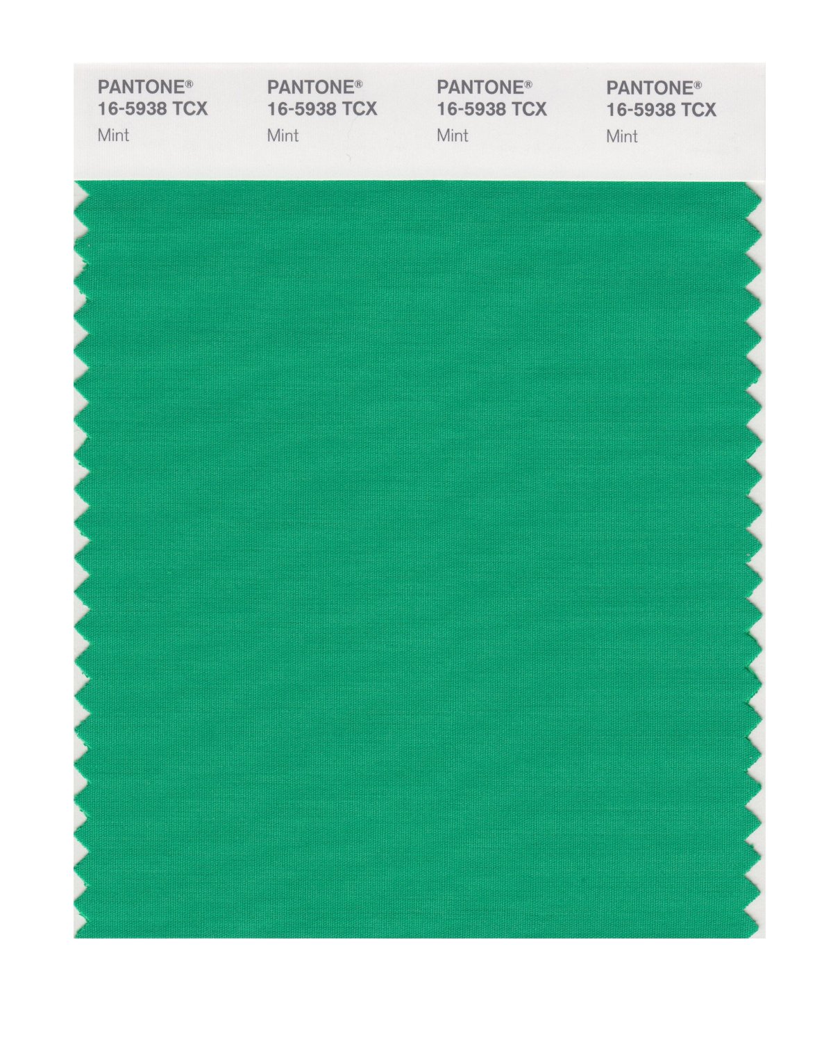 Pantone Cotton Swatch 16-5938 Mint