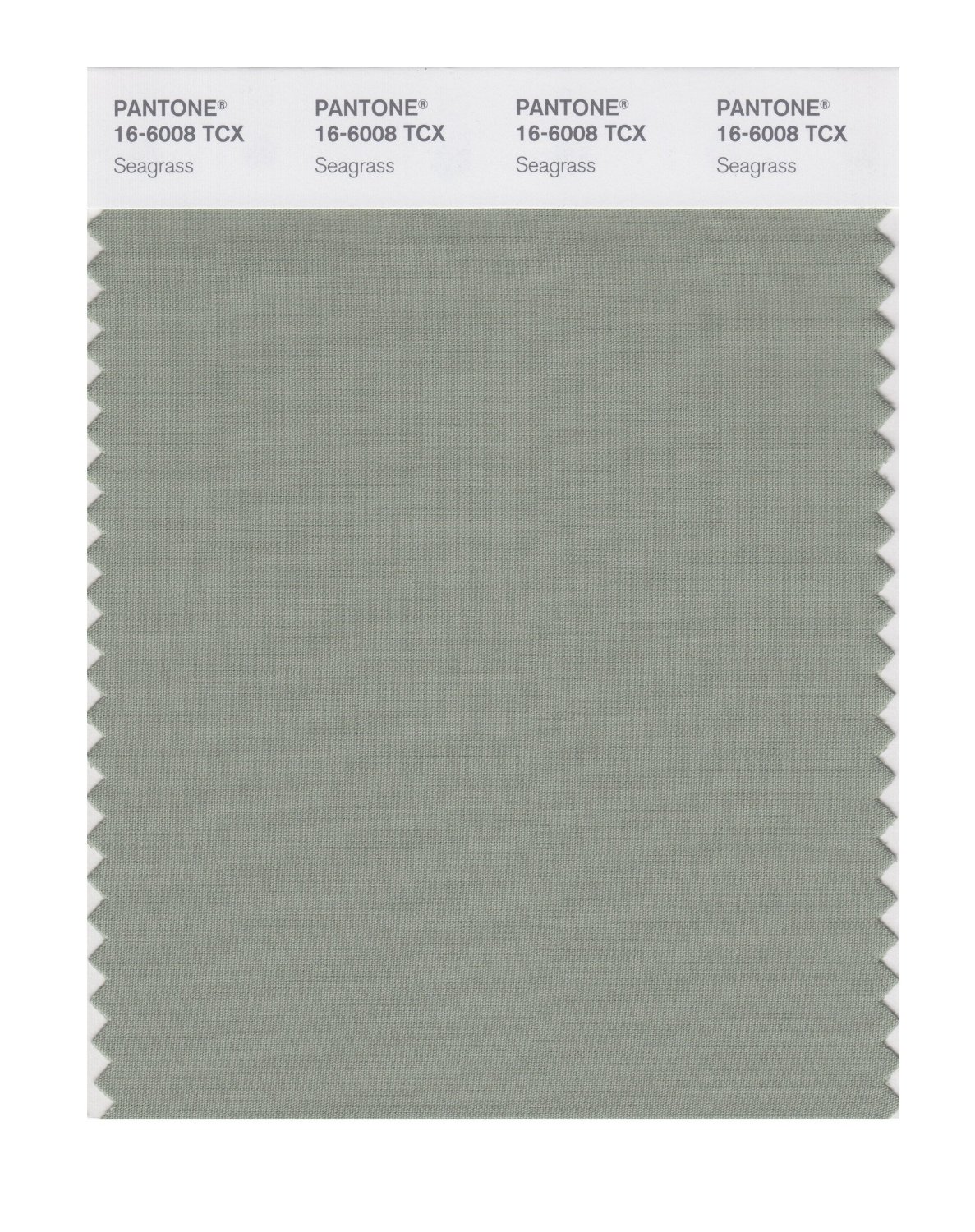 Pantone Cotton Swatch 16-6008 Seagrass