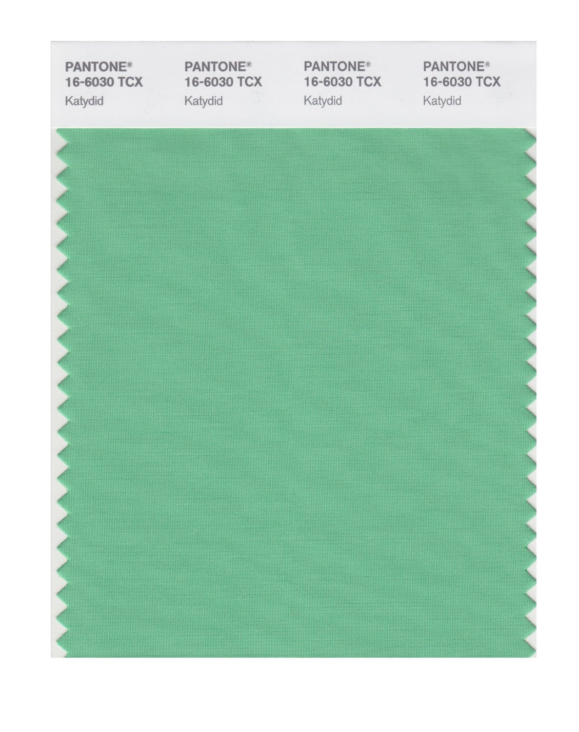 Pantone Cotton Swatch 16-6030 Katydid