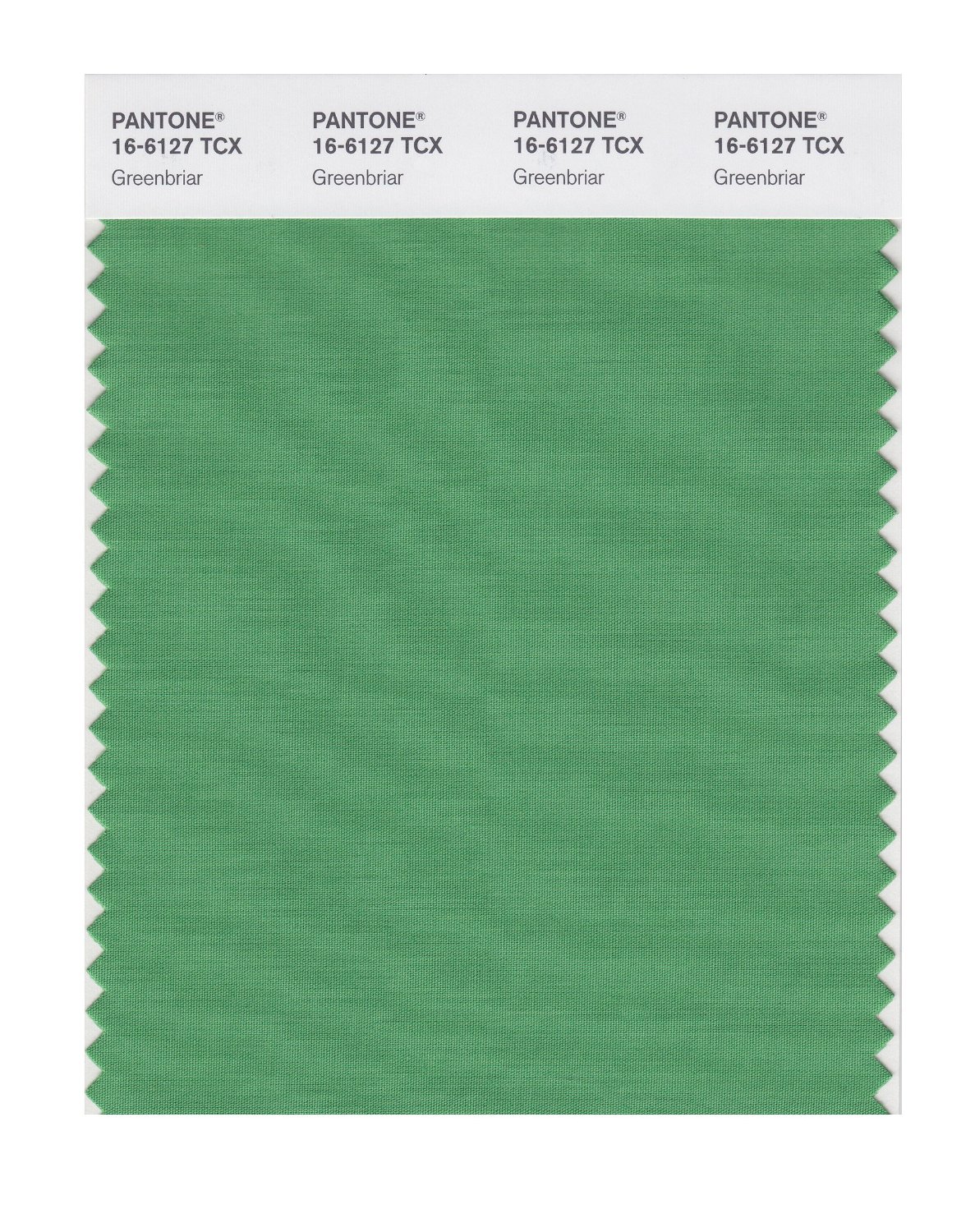 Pantone Cotton Swatch 16-6127 Greenbriar