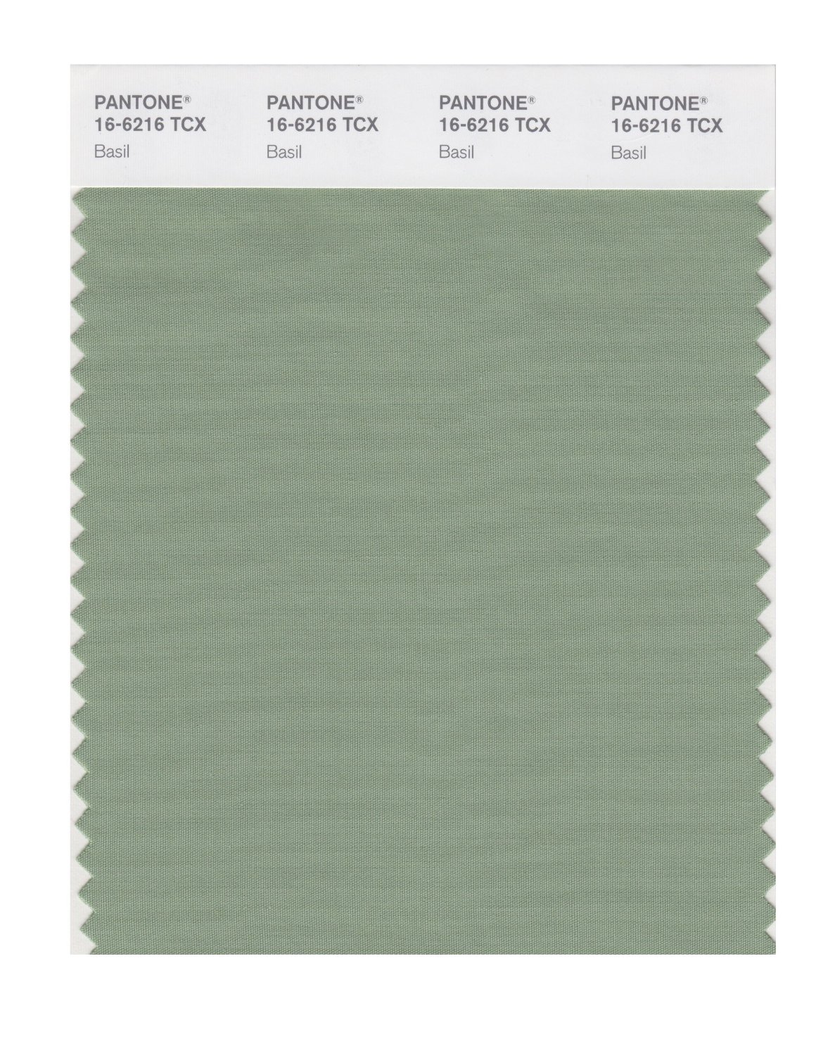 Pantone Cotton Swatch 16-6216 Basil