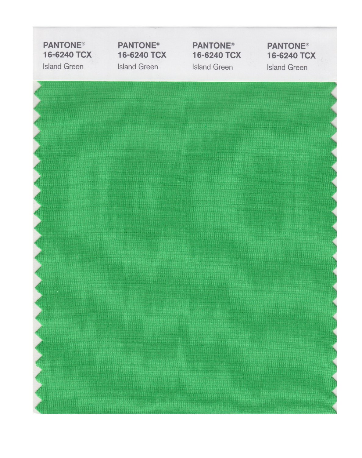 Pantone Cotton Swatch 16-6240 Island Green