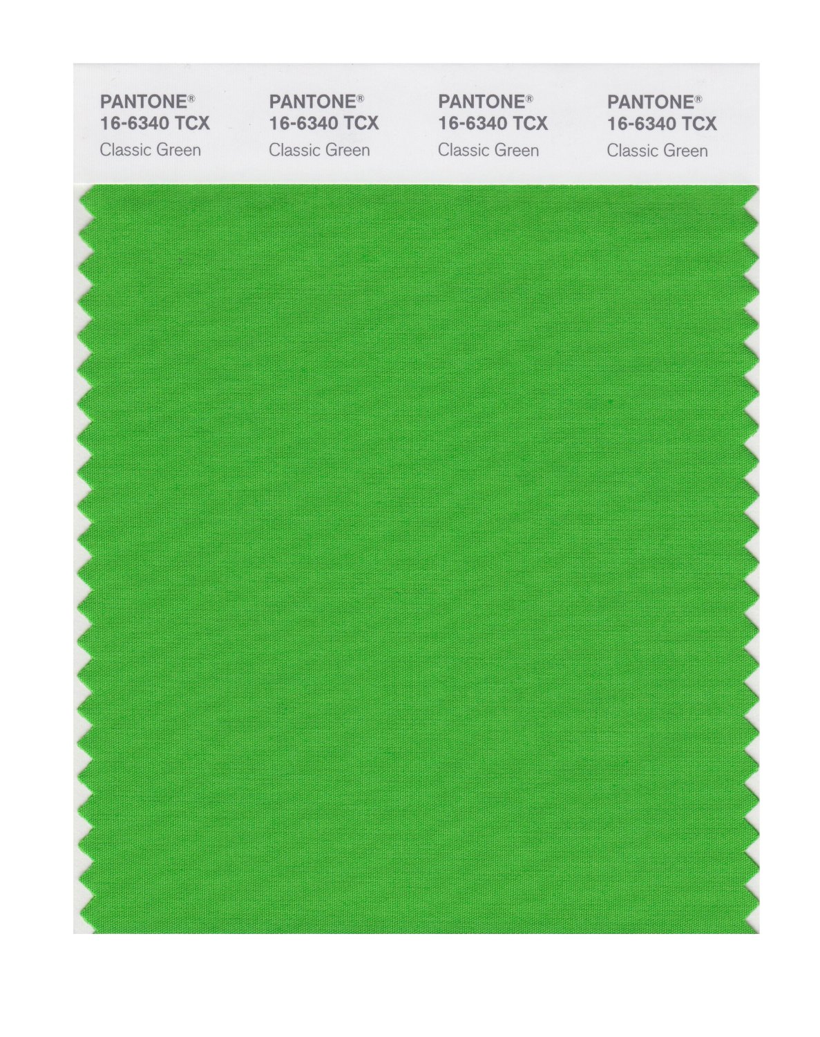 Pantone Cotton Swatch 16-6340 Classic Green