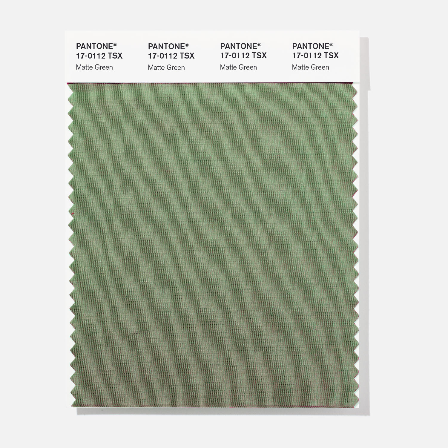 Pantone Polyester Swatch 17-0112 Matte Green