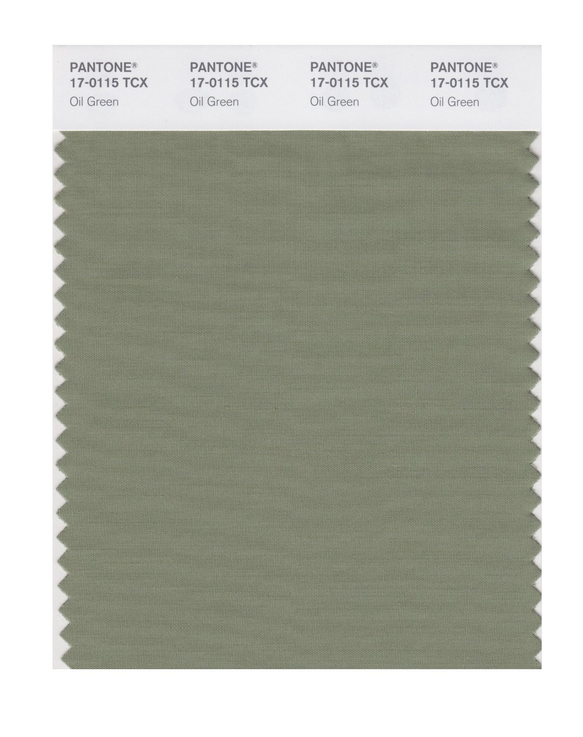 Pantone Cotton Swatch 17-0115 Oil Green