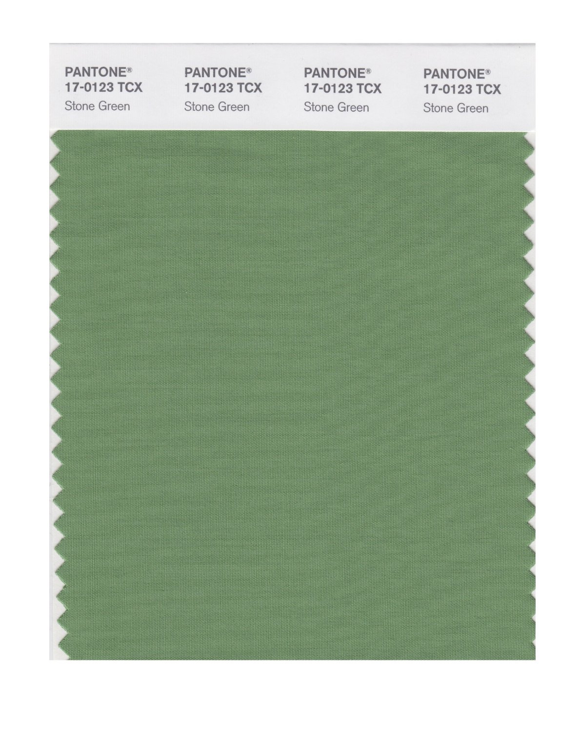 Pantone Cotton Swatch 17-0123 Stone Green