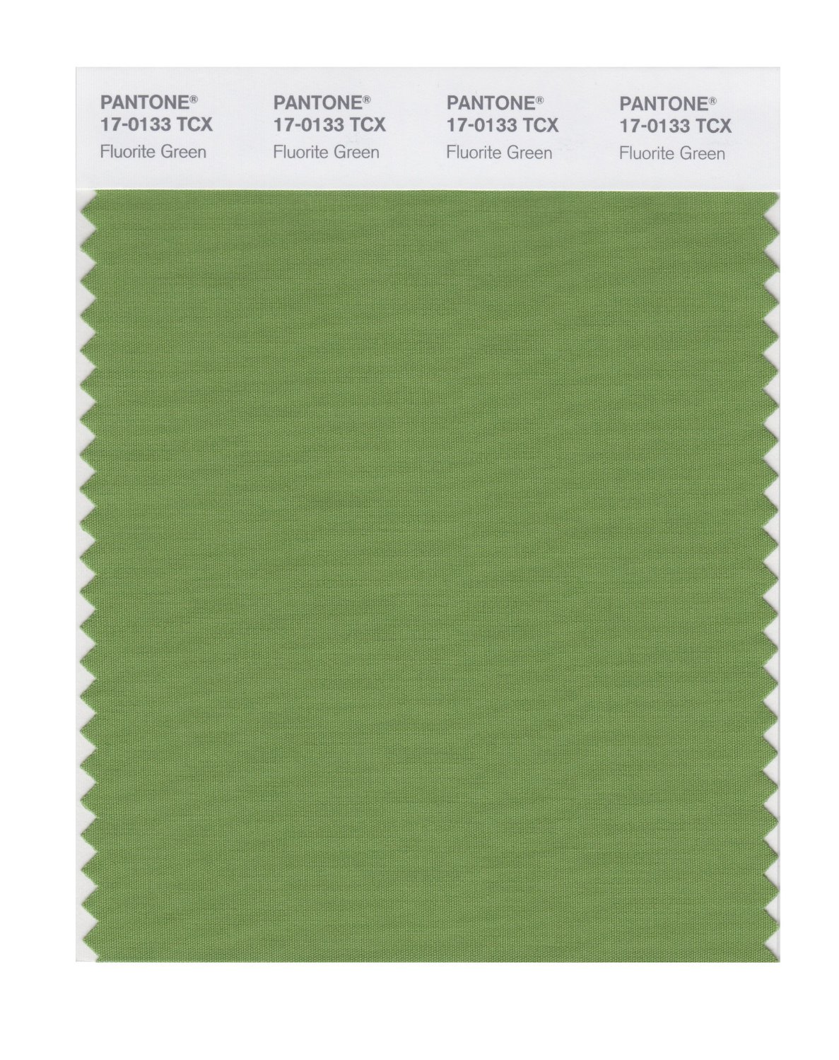 Pantone Cotton Swatch 17-0133 Fluorite Green