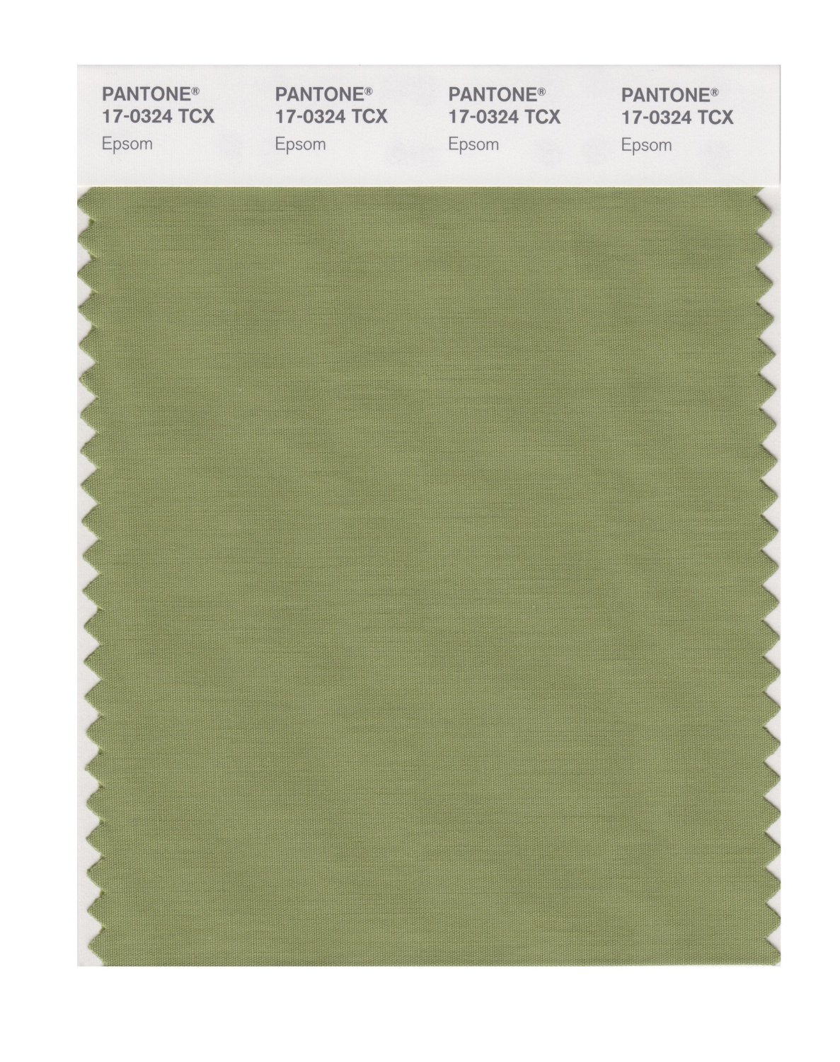 Pantone Cotton Swatch 17-0324 Epsom