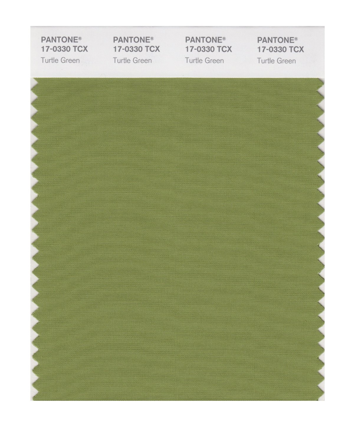 Pantone Cotton Swatch 17-0330 Turtle Green