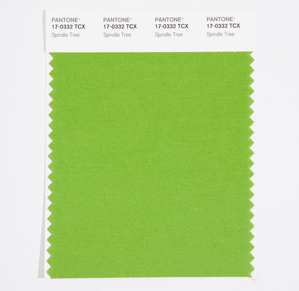Pantone Cotton Swatch 17-0332 Spindle Tree