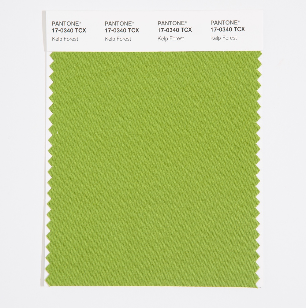 Pantone Cotton Swatch 17-0340 Kelp Forest