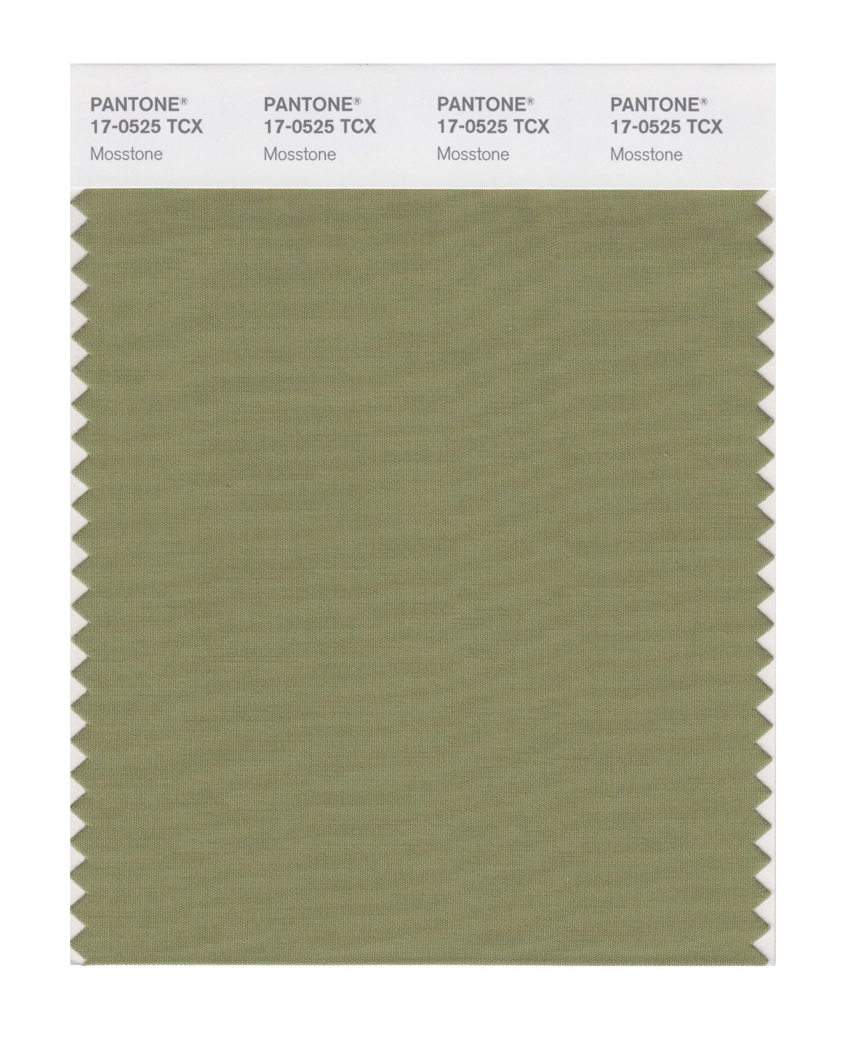 Pantone Cotton Swatch 17-0525 Mosstone