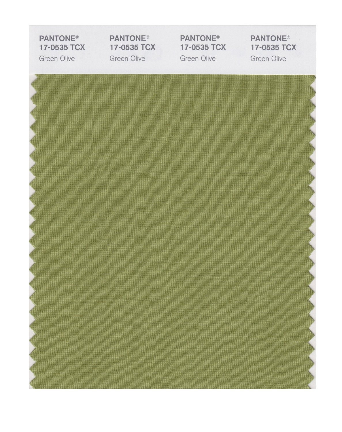 Pantone Cotton Swatch 17-0535 Green Olive