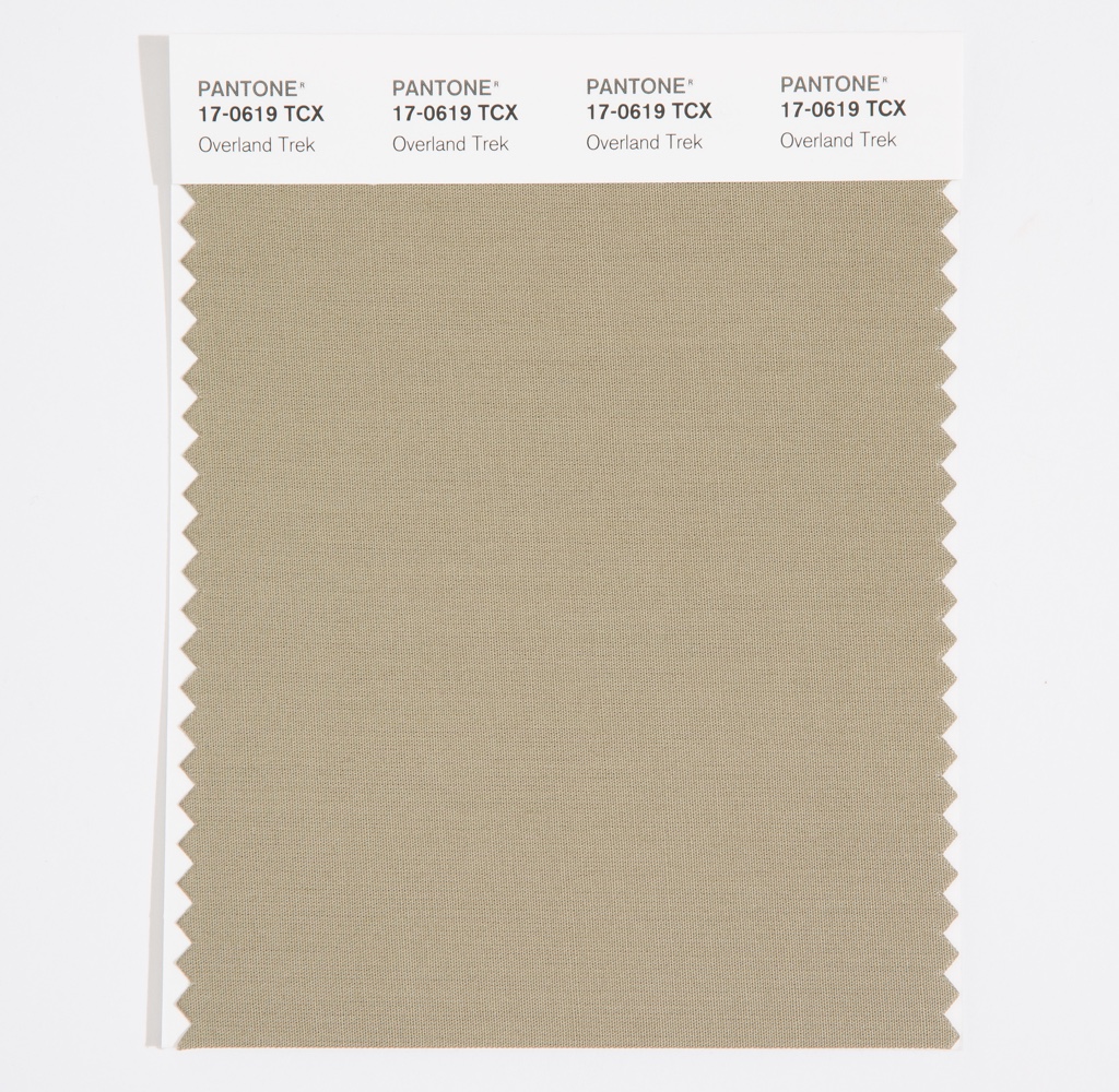 Pantone Cotton Swatch 17-0619 Overland Trek