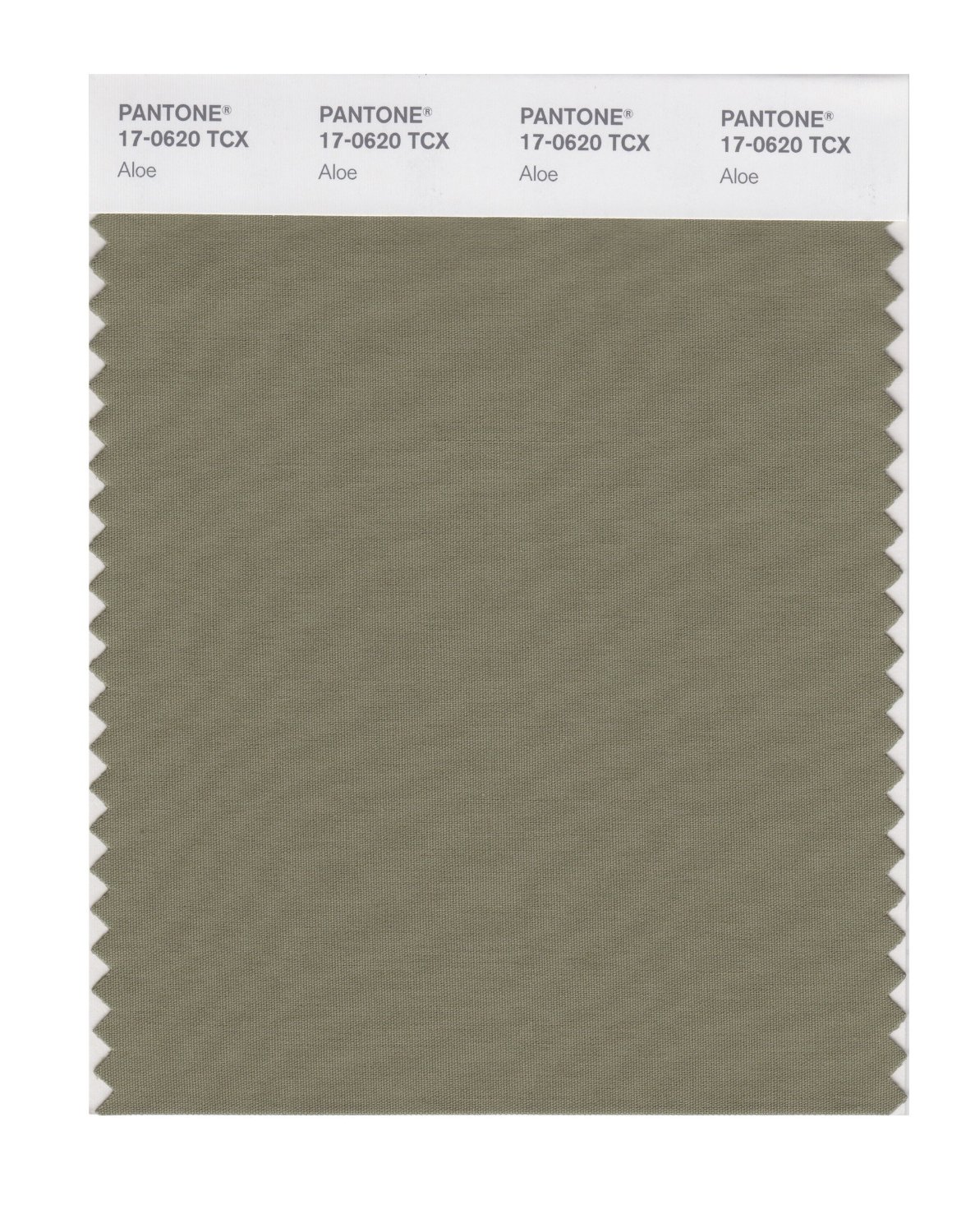 Pantone Cotton Swatch 17-0620 Aloe