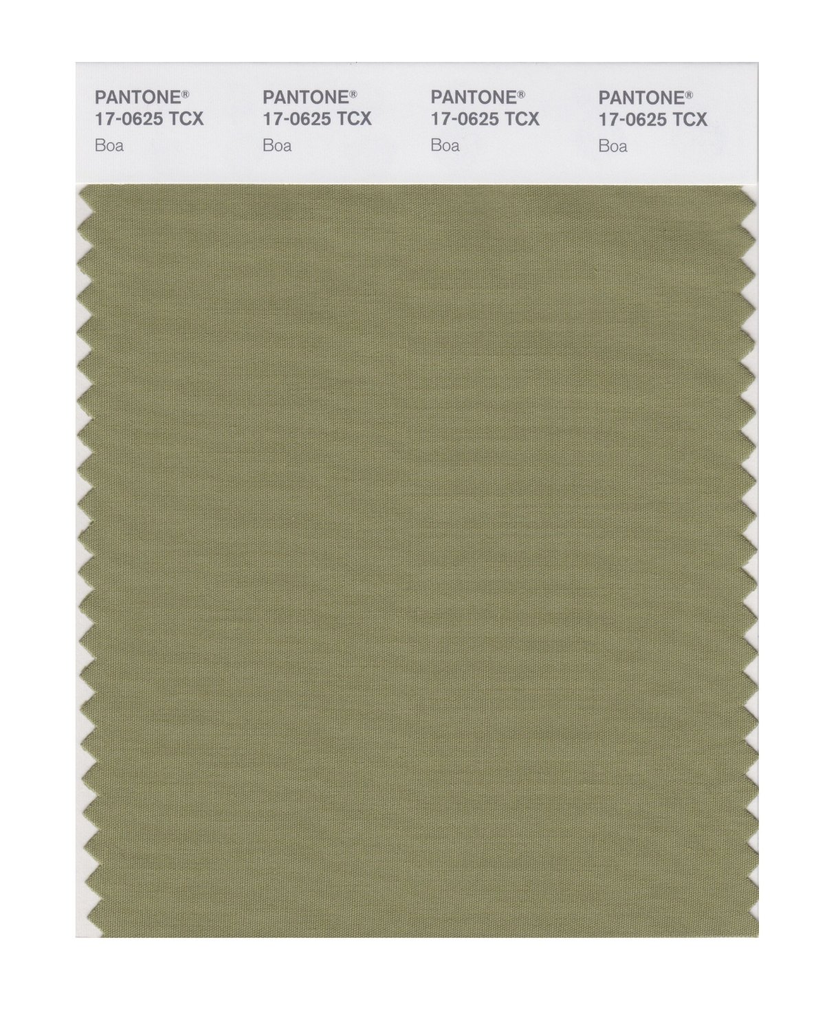 Pantone Cotton Swatch 17-0625 Boa